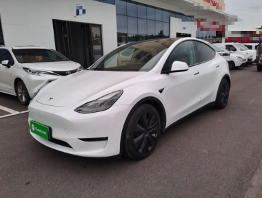 Tesla Model Y 2021 Tesla Model Y 2021 car image