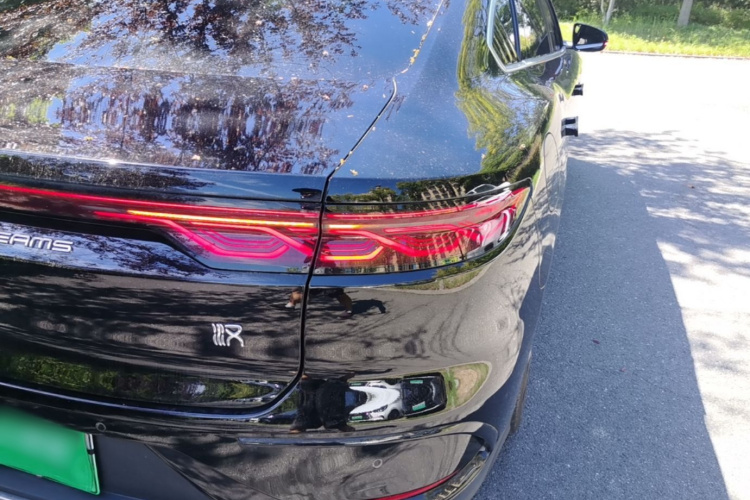 BYD Han 2024 car image #8