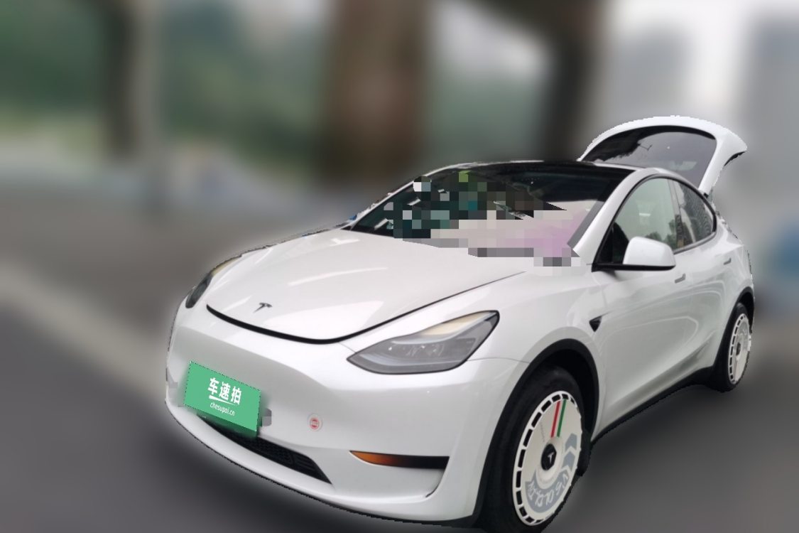 Tesla Model Y 2024 Tesla Model Y 2024 car image