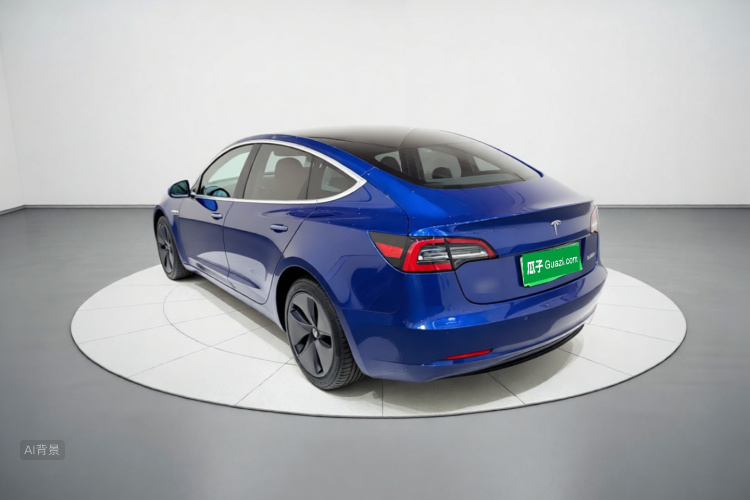Tesla Model 3 2020 car image #5