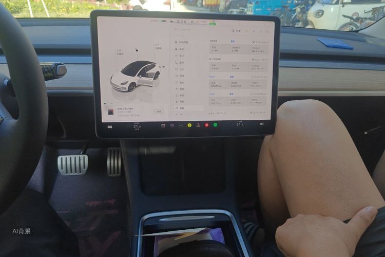 Tesla Model 3 2022 car image #15