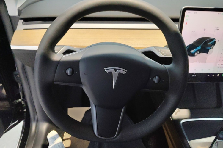 Tesla Model Y 2022 car image #12