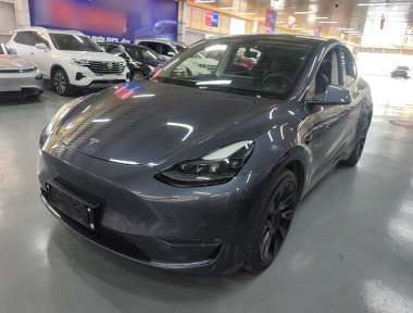 Tesla Model Y 2021 Tesla Model Y 2021 car image