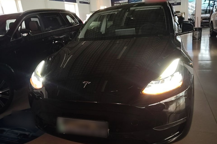 Tesla Model Y 2021 #3 Tesla Model Y 2021 car image #3