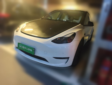 Tesla Model Y 2023 car image 
