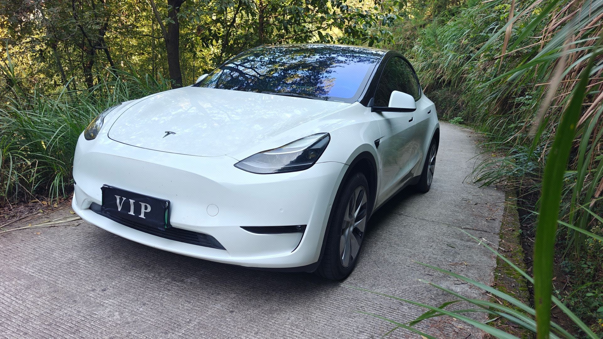 Tesla Model Y 2021 Tesla Model Y 2021 imagen de coche