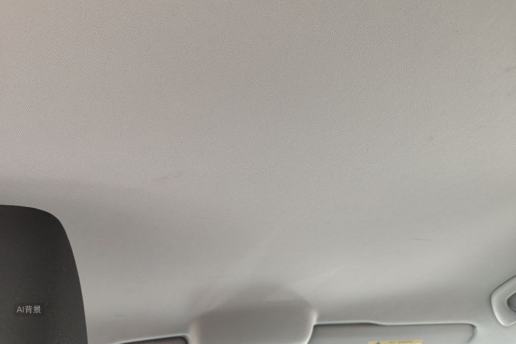 Volkswagen Polo 2019 car image #20