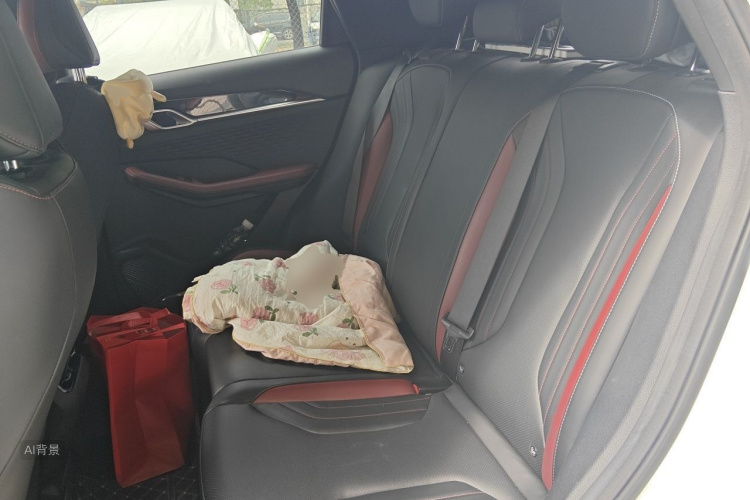 GEELY Coolray 2023 car image #19