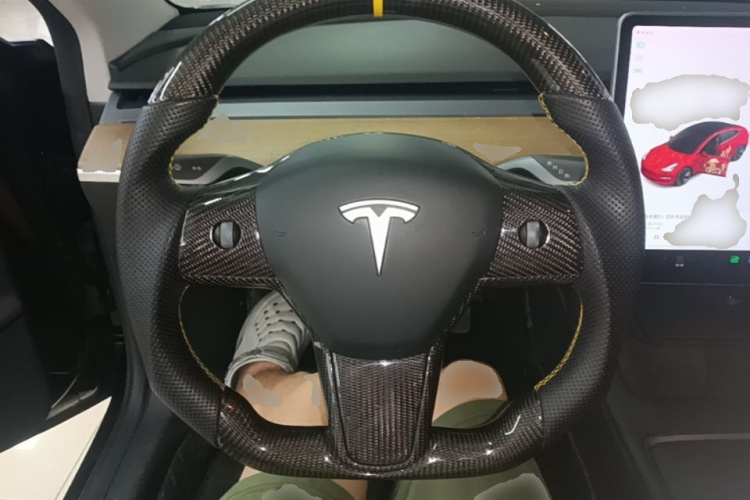 Tesla Model 3 2021 car image #11