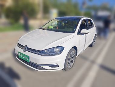 Volkswagen Golf 2019 Volkswagen Golf 2019 car image