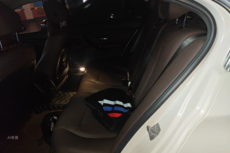 BMW 3 Series 2019 car image #19
