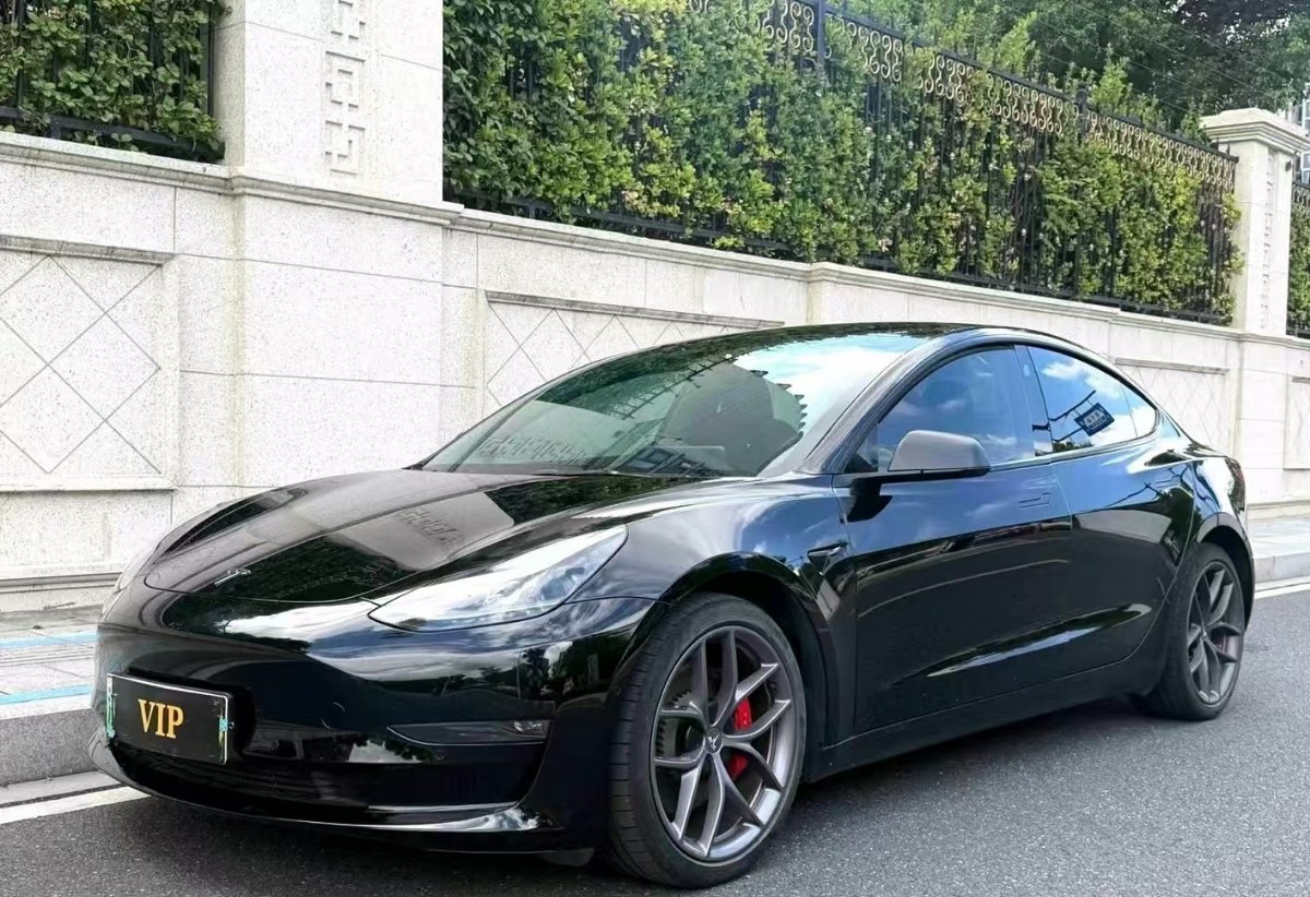 Tesla Model 3 2021 car image 