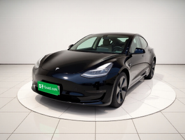Tesla Model 3 2022 car image 