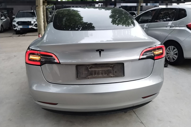 Tesla Model 3 2021 car image #6