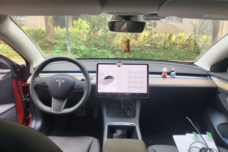Tesla Model 3 2021 #7 Tesla Model 3 2021 car image #7