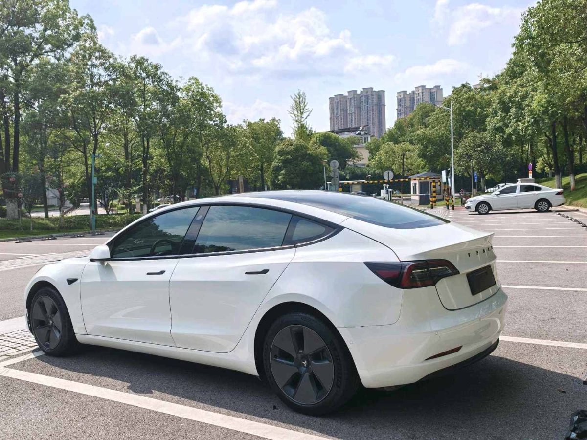 Tesla Model 3 2022 #7 Tesla Model 3 2022 car image #7