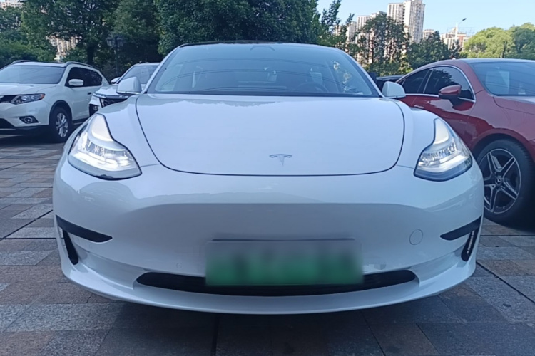 Tesla Model 3 2020 #3 Tesla Model 3 2020 car image #3