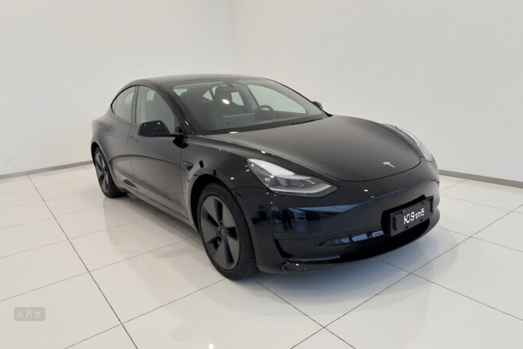 Tesla Model 3 2021 #4 Tesla Model 3 2021 car image #4