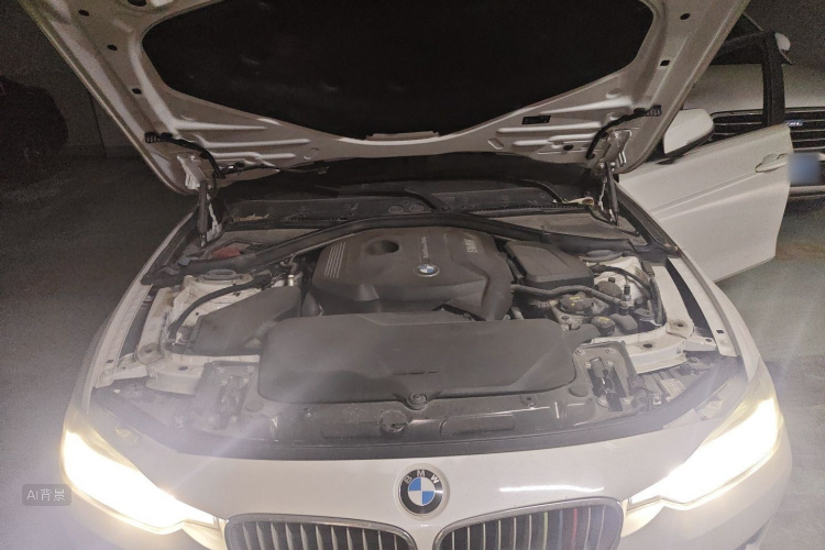BMW 3 Series 2018 car image #22