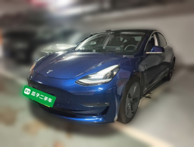 Tesla Model 3 2020 Tesla Model 3 2020 car image