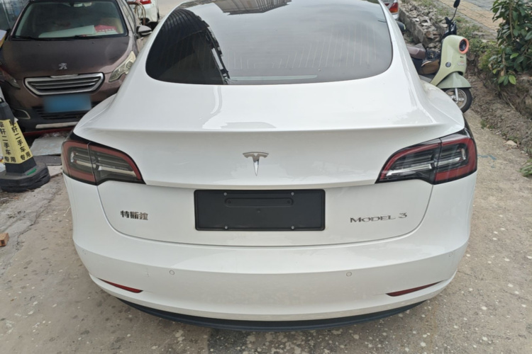 Tesla Model 3 2019 #6 Tesla Model 3 2019 car image #6