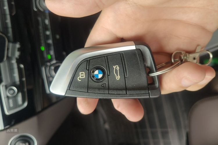 BMW X1 2021 imagem de carro #10