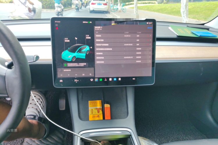 Tesla Model 3 2021 car image #15