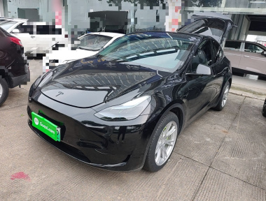 Tesla Model Y 2022 Tesla Model Y 2022 car image