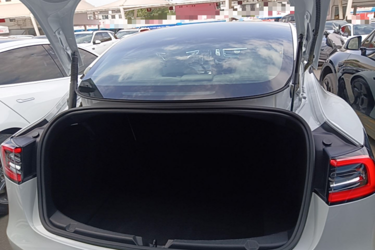 Tesla Model 3 2021 #19 Tesla Model 3 2021 car image #19