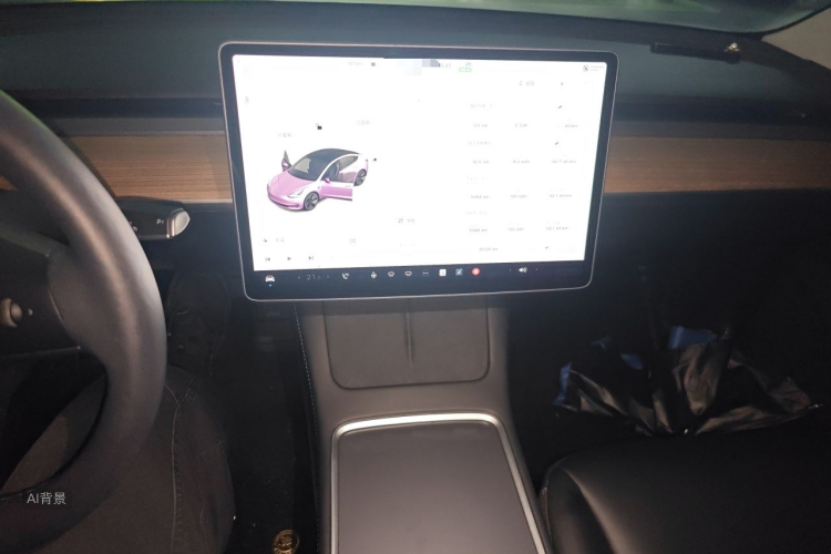 Tesla Model 3 2021 car image #15