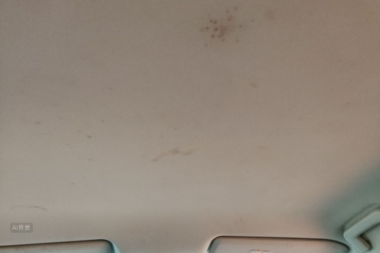 Chery Arrizo 5 2019 car image #20