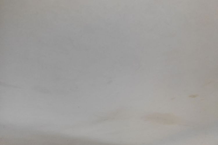 Volkswagen Santana 2019 car image #20