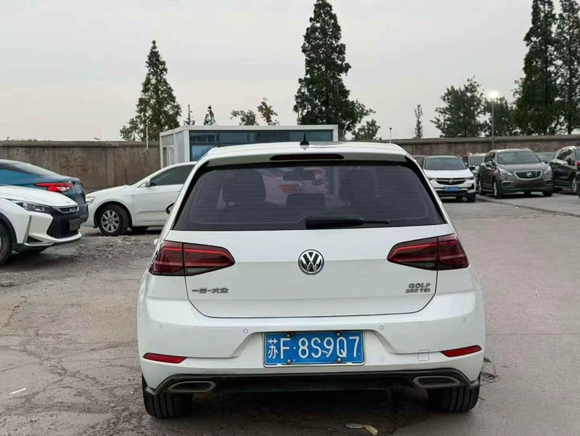 Volkswagen Golf 2019 #9 Volkswagen Golf 2019 car image #9