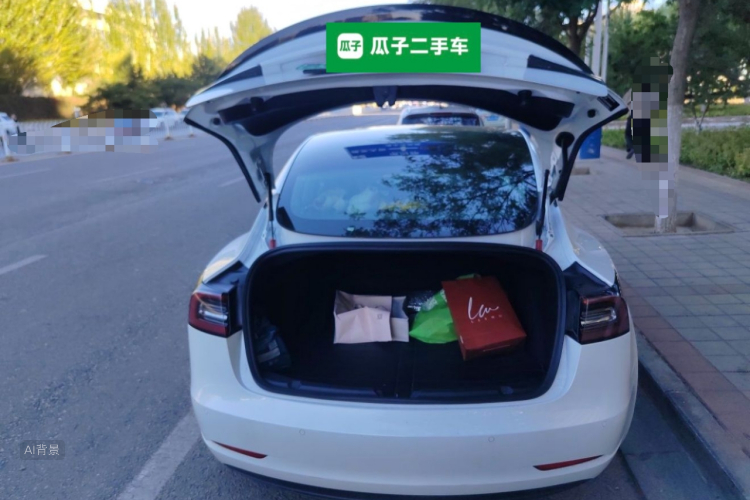 Tesla Model 3 2020 car image #21