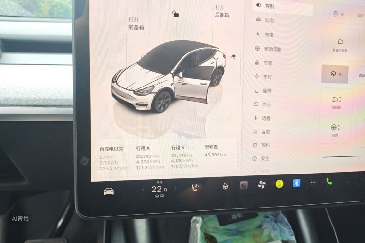 Tesla Model Y 2023 car image #13
