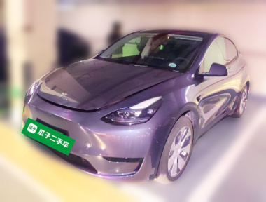 Tesla Model Y 2022 Tesla Model Y 2022 car image