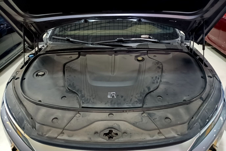 BYD Han 2021 car image #20