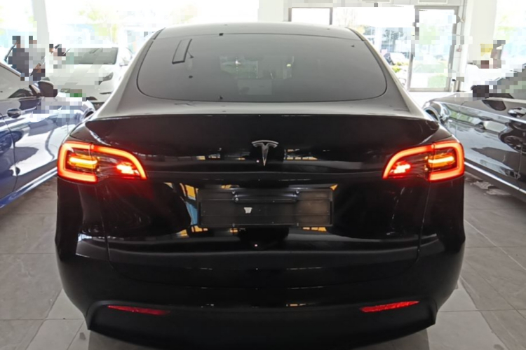 Tesla Model Y 2022 car image #6