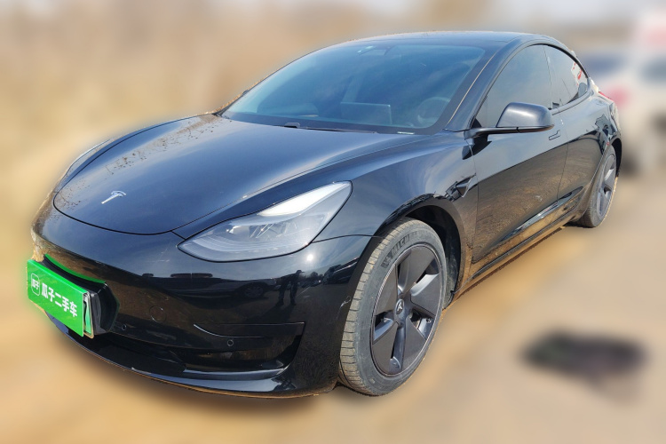 Tesla Model 3 2021 #2 Tesla Model 3 2021 car image #2