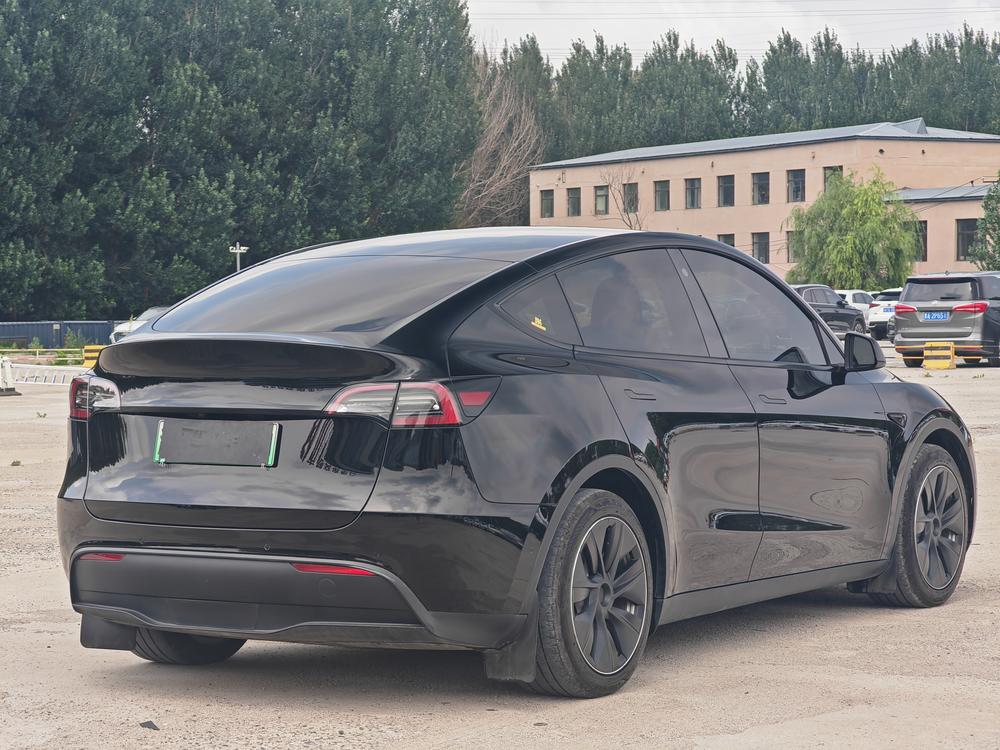 Tesla Model Y 2021 car image #7