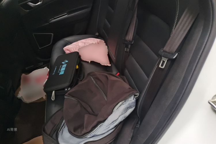 GEELY Emgrand GS 2017 car image #19