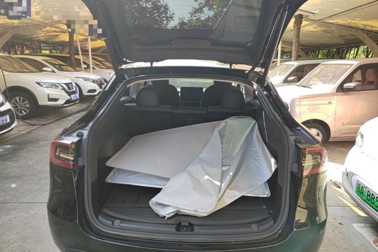 Tesla Model Y 2022 immagine di auto #19