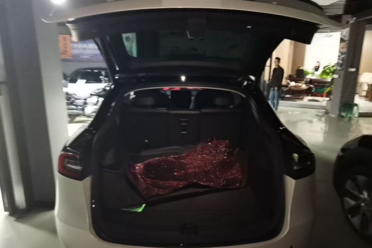 Tesla Model Y 2021 #19 Tesla Model Y 2021 car image #19