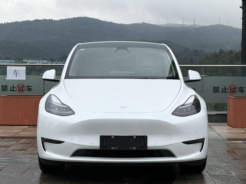 Tesla Model Y 2021 car image #2