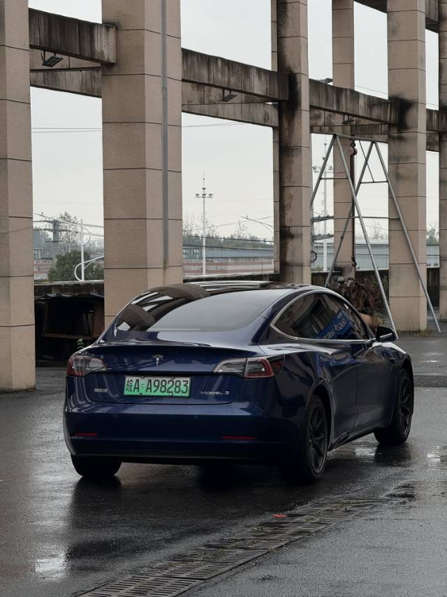 Tesla Model 3 2020 #8 Tesla Model 3 2020 car image #8