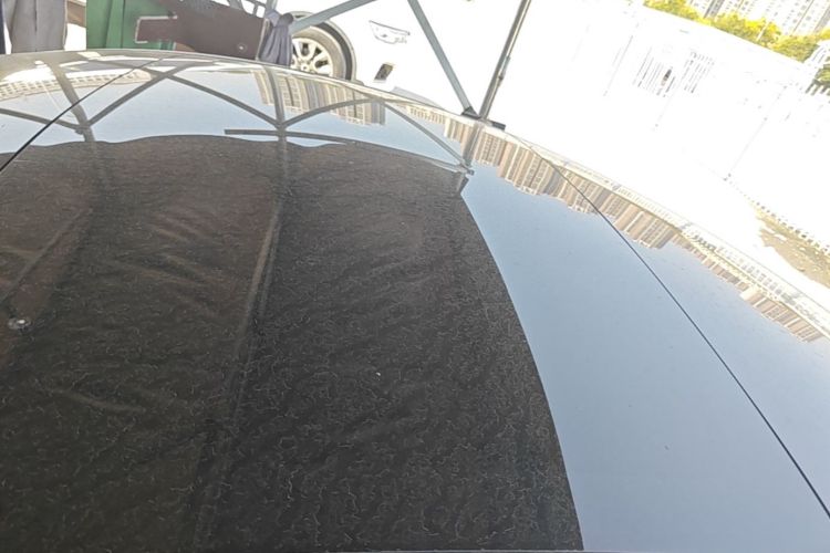 Tesla Model 3 2025 #25 Tesla Model 3 2025 car image #25