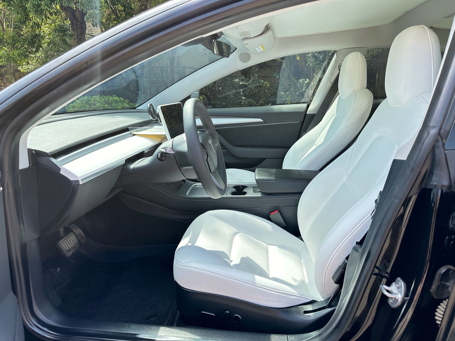 Tesla Model 3 2021 imagen de coche #5