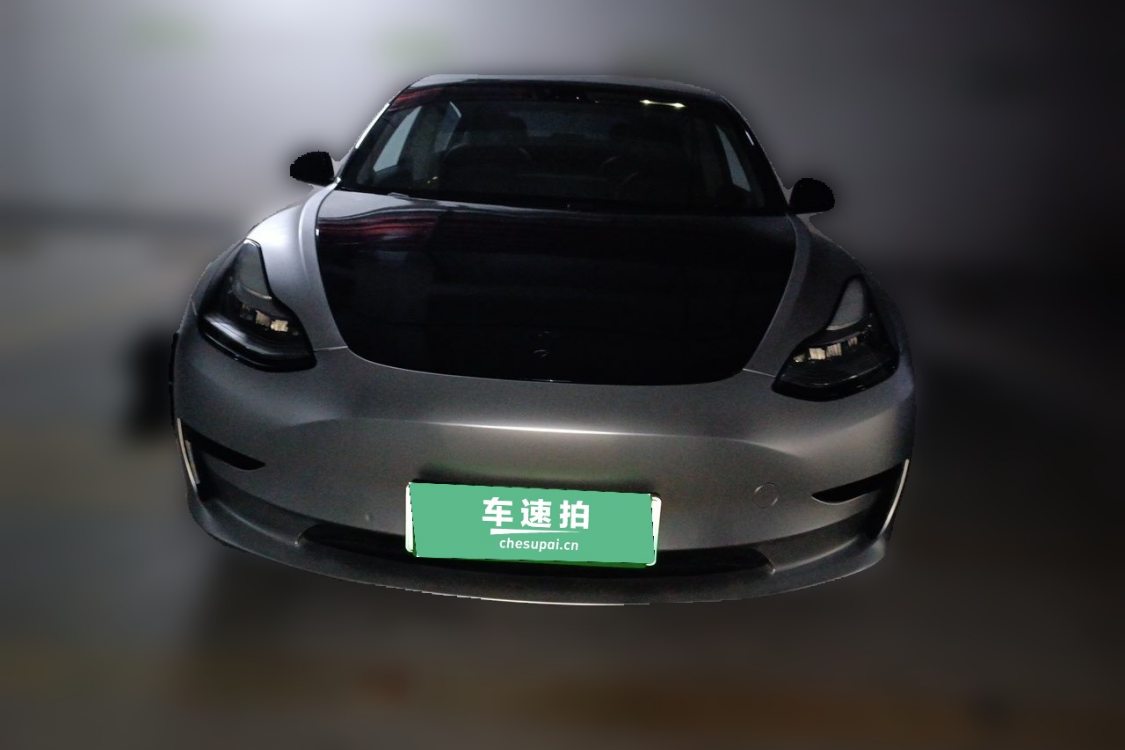 Tesla Model 3 2021 #5 Tesla Model 3 2021 car image #5