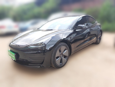 Tesla Model 3 2022 Tesla Model 3 2022 car image