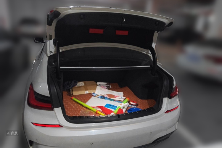 BMW 3 Series 2021 car image #21